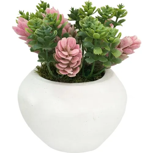 Gift Showcase Ceramic Flower Pot Also Artificial Flower S 1. Quality Cactus and Powder S Spike Lavender 14 cm