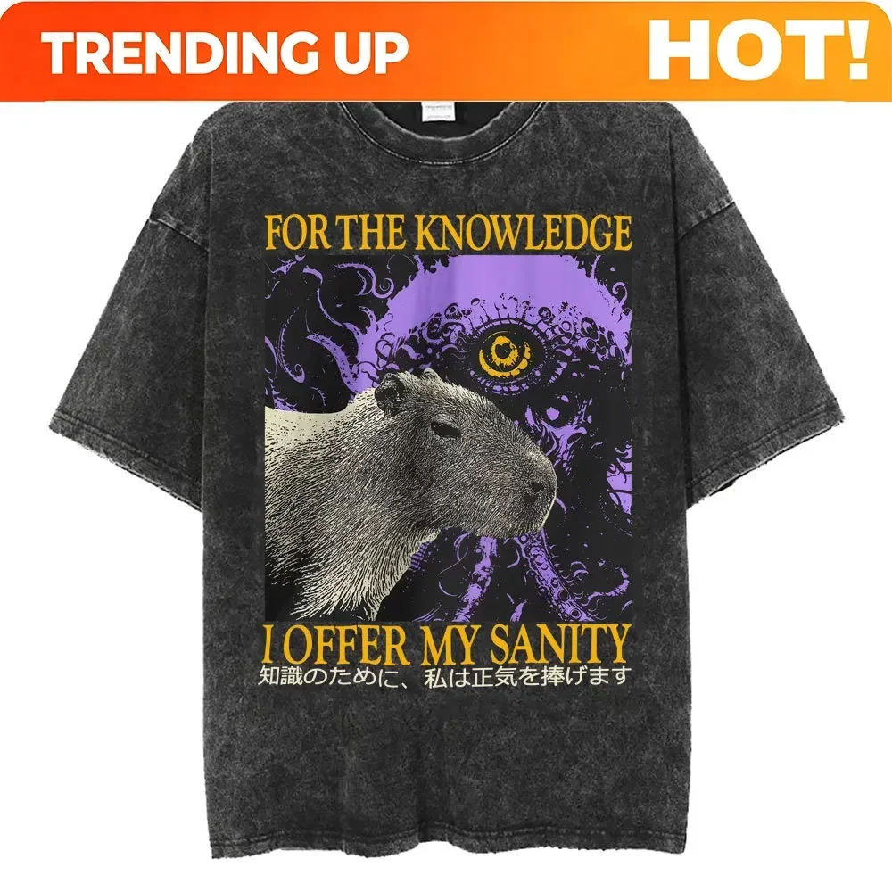 Customization Graphic T-Shirts Men Tshirt For Men Ropa Hombre For The Knowledge I Offer My Sanity Vintage Washed New In Top & Te