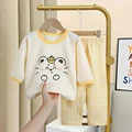 line kitten