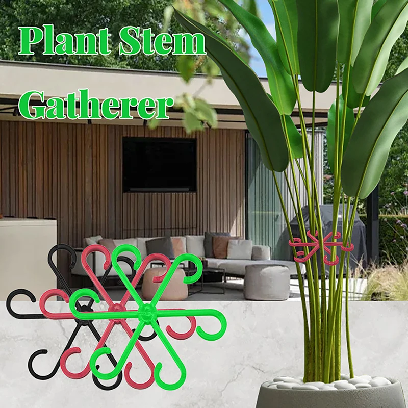 4Pcs Sizes Stem Support Alocasia Monstera Leaf Supports Vine Clips For Climbing Plants To Grow Upright And Make Healthier