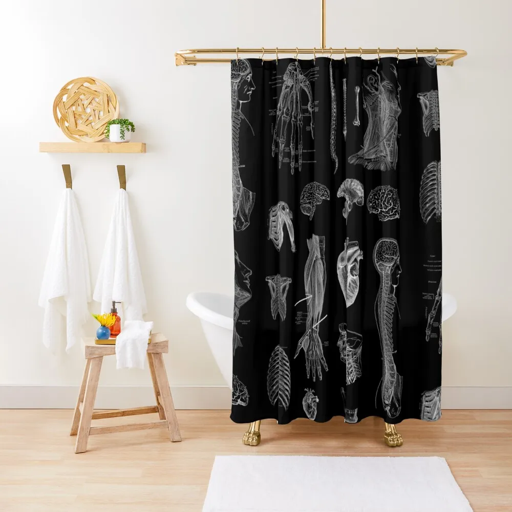 

Vintage Anatomy PrintShower Curtain Toilet Accessories Bathroom Bathroom Showers Bathroom Shower