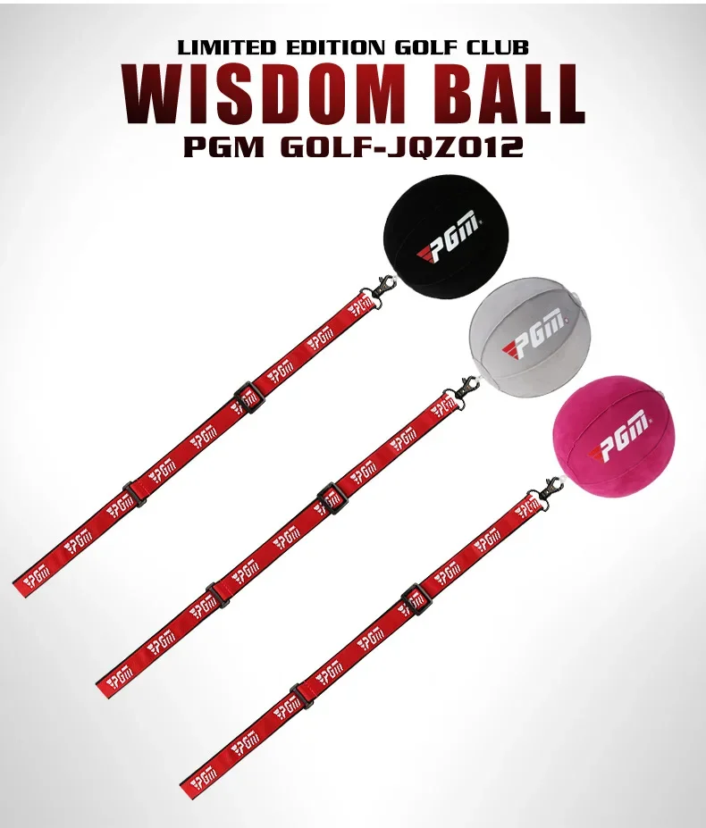 PGM-Golf Swing Training Ball, Portable Swing Arm Orthotic, Putting Exercises, Training Aids