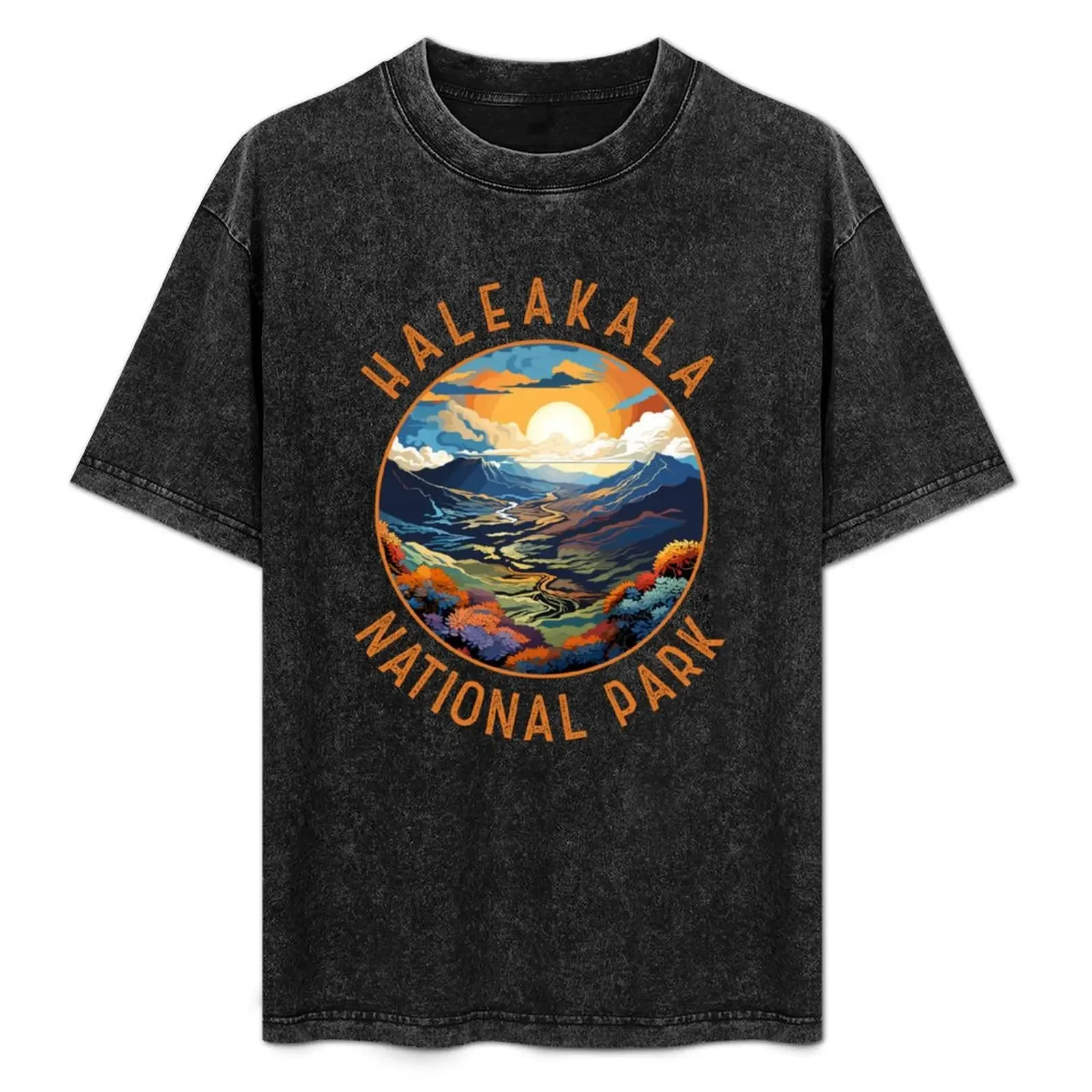 Haleakala National Park Sunset Retro Distressed Circle T-Shirt hippie clothes plus size clothes T-shirt men