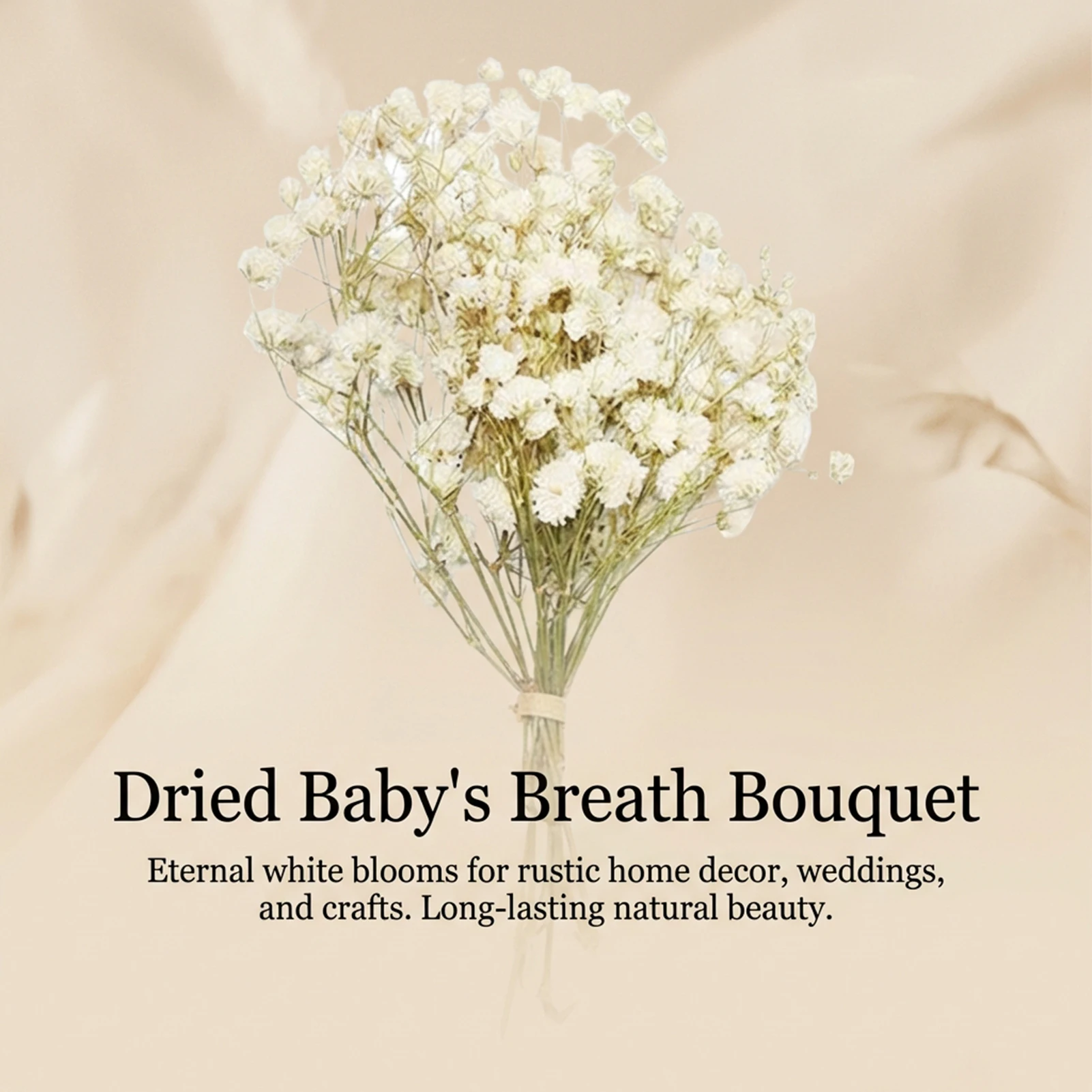 Mini bouquet de fleurs préserv - Dried Flower Bulk avis et prix