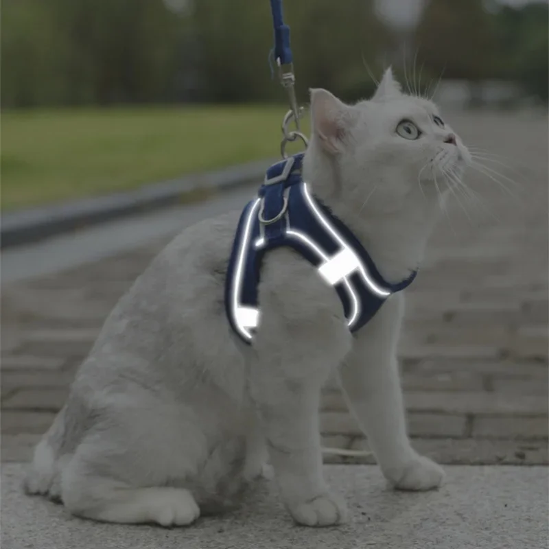 Suede Pet Reflective Dog Harness Dog Training Leashes Walking Pet Leash Long Lanyard Traction Rope Cat Chest Strap Vest Leash