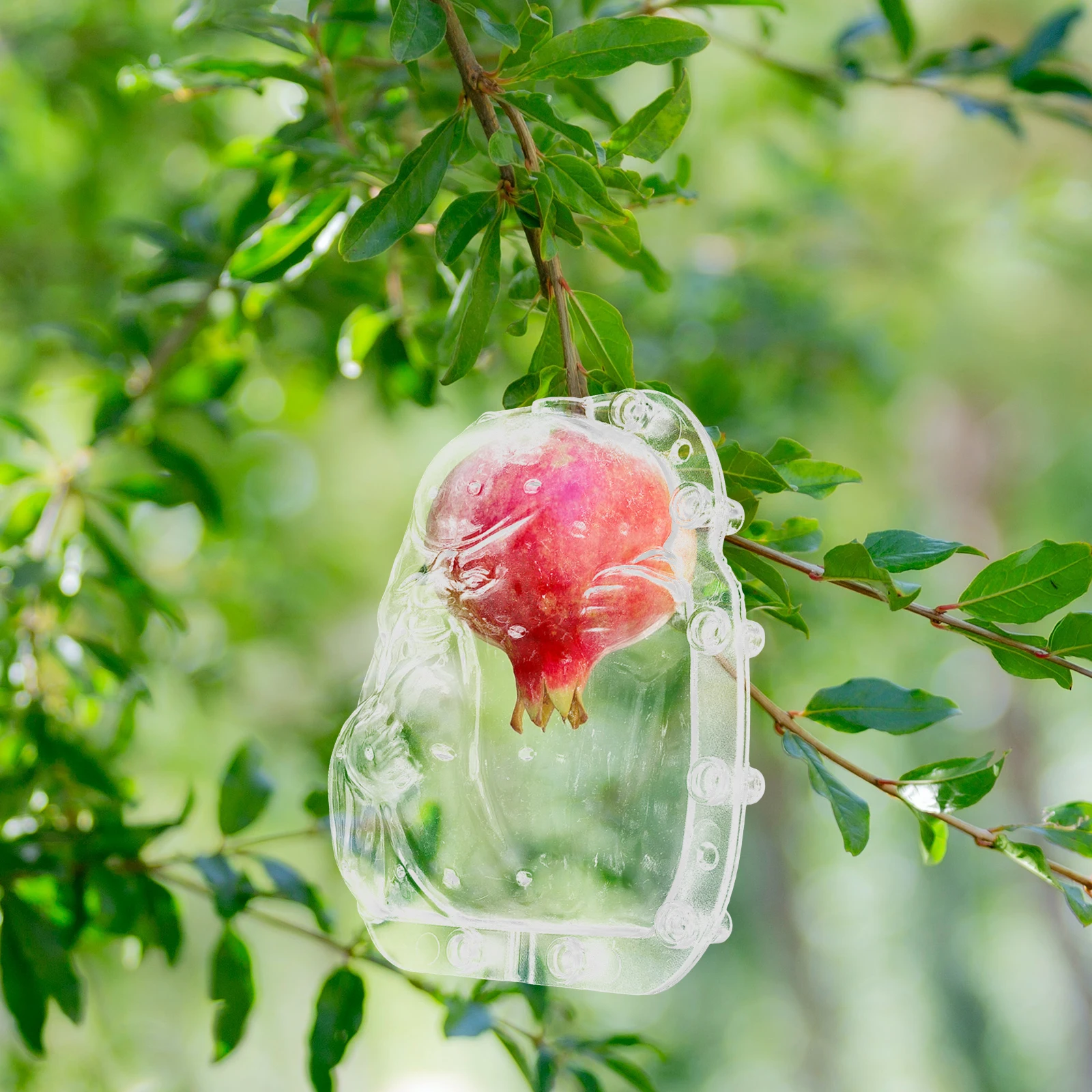 

Clear Fruit Growing Shaping Mold Set Portable Wear-Resistant Garden Tool for DIY Vegetable Fruit Forming Transparent Multi-Use