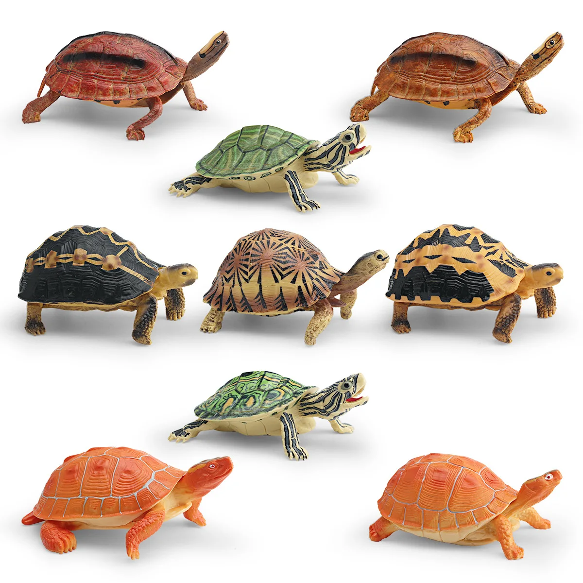 Cross-border simulation wildlife turtle model children's cognitive toy Brazilian turtle spider web land turtle golden coin turtl