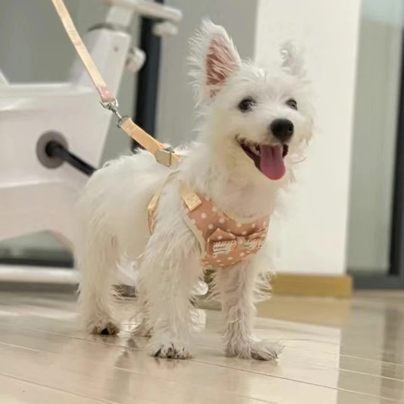 Cheaper Chihuahua Puppy Dog Vest Harness and Leash Set Adjustable Pet Harnesses for Small Dogs Pinscher Yorkshire mascotas Leads