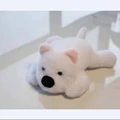 white dog