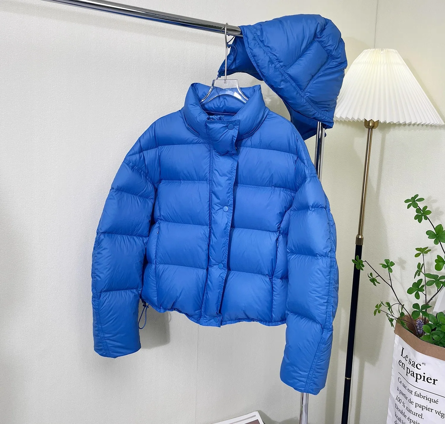Korean Cropped Hooded Down Jacket for Women Winter Thickened White Duck Down Coats Woman Solid Color All Match Puffer Jackets