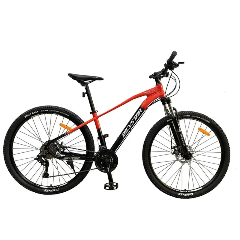Factory Hot Selling Chinese Aluminum Alloy Mtb 29 Mountainbike/ Mountain Bike 29/wholesale Double Disc Brakes Bicycle 21 Speed C