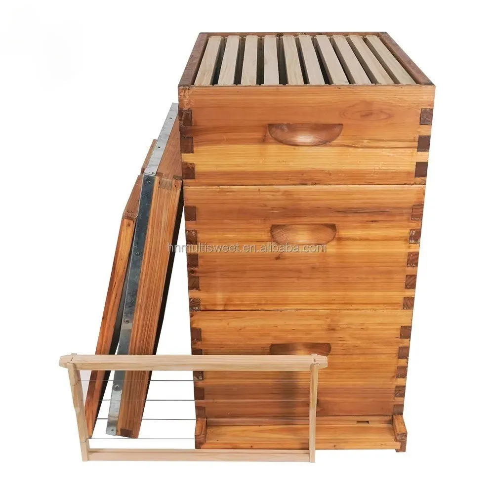 3 Layers Wax Dipped 10 Frame Langstroth Beehive, Flat Pack Bee Hive Boxes with Frames
