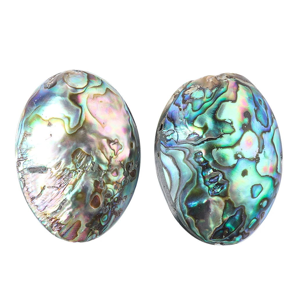 Natural New Zealand Abalone Seashell Colorful Double Arc Surface Single Side Hole Shell Bead Ornament Ladies Jewelry Accessories