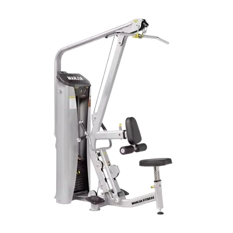 One-Stop Gym Equipment Supplier Pulldown & Low Row Machine Full Gym Setup Equipment 2-in-1 Pin Loaded Pulldown Low Row Machine