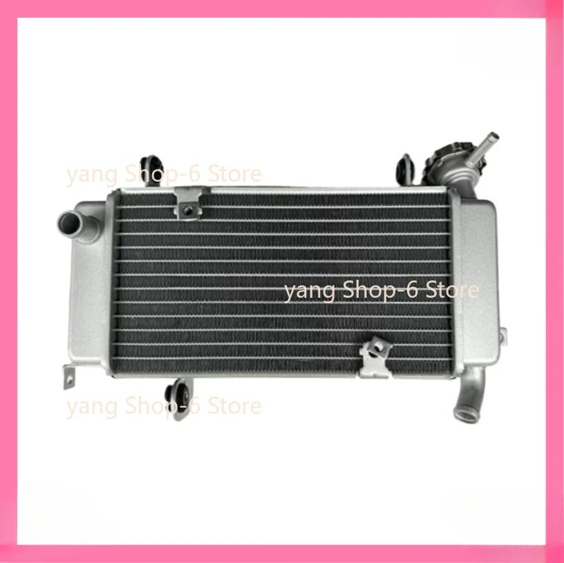 NEW Motorcycle Engine Parts Water Cooler Radiator for Keeway 125cc RKF125 RKF 125