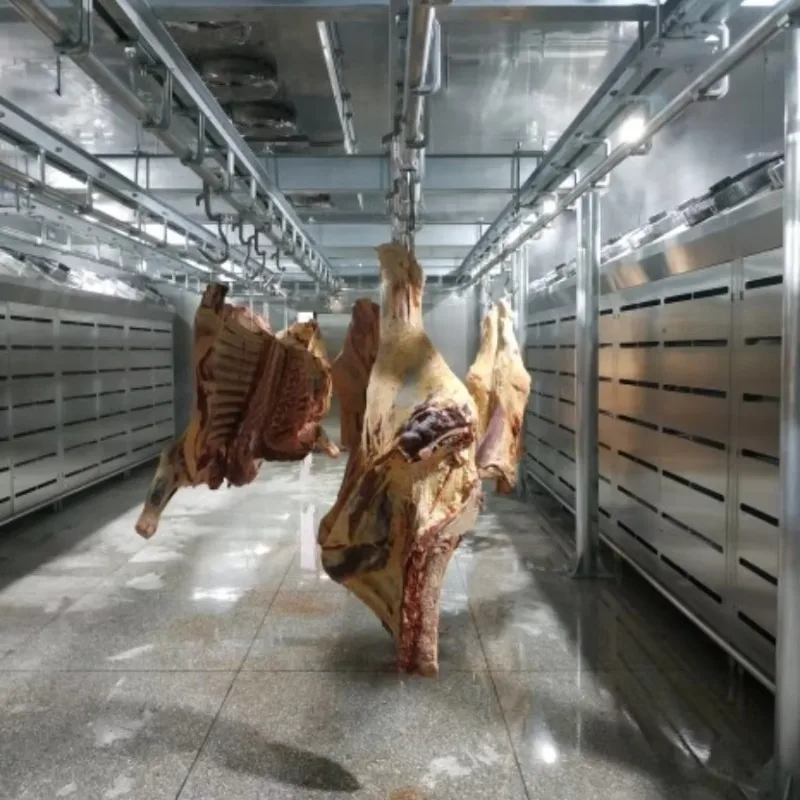2026 New Wholesale Automatic Temperature Control Low Temperature High Humidity Thawing Equipment for Meat Processing Customized