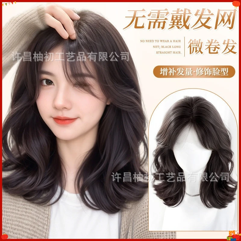 Synthetic Curly Hair Topper for Women No Net Required Volumizing Clip in Wig Piece Natural Full Head Cover Gray Concealer Easy