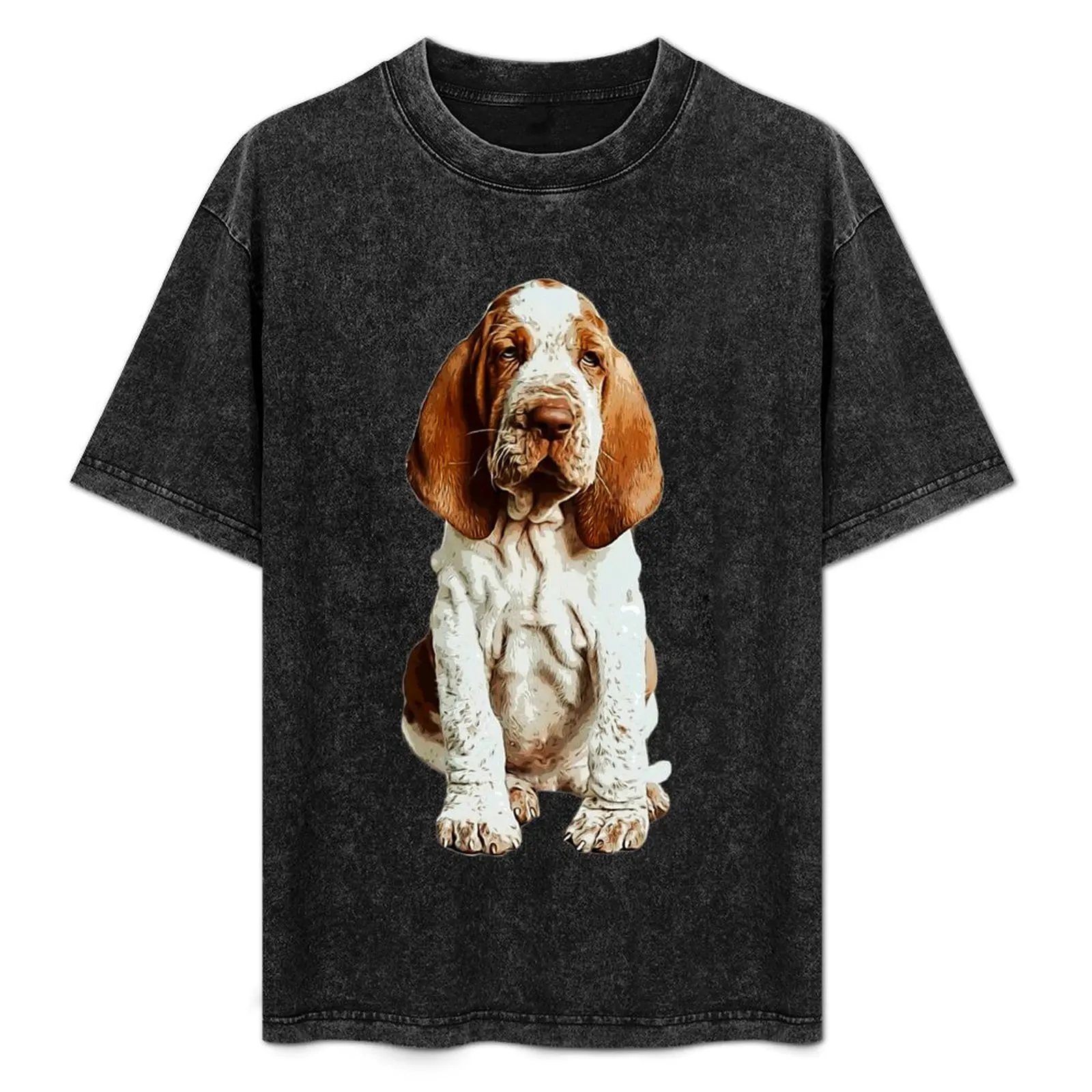 Camiseta para cachorro Bracco Italiano, camiseta lisa de ajuste estándar