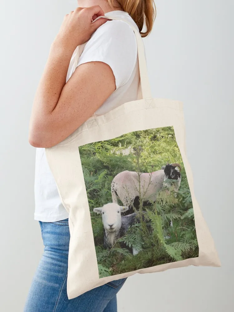 

Lake District herdy sheep in laying in ferns Tote Bag personalized tote bag canvas shopping bag canvas tote bags Gift