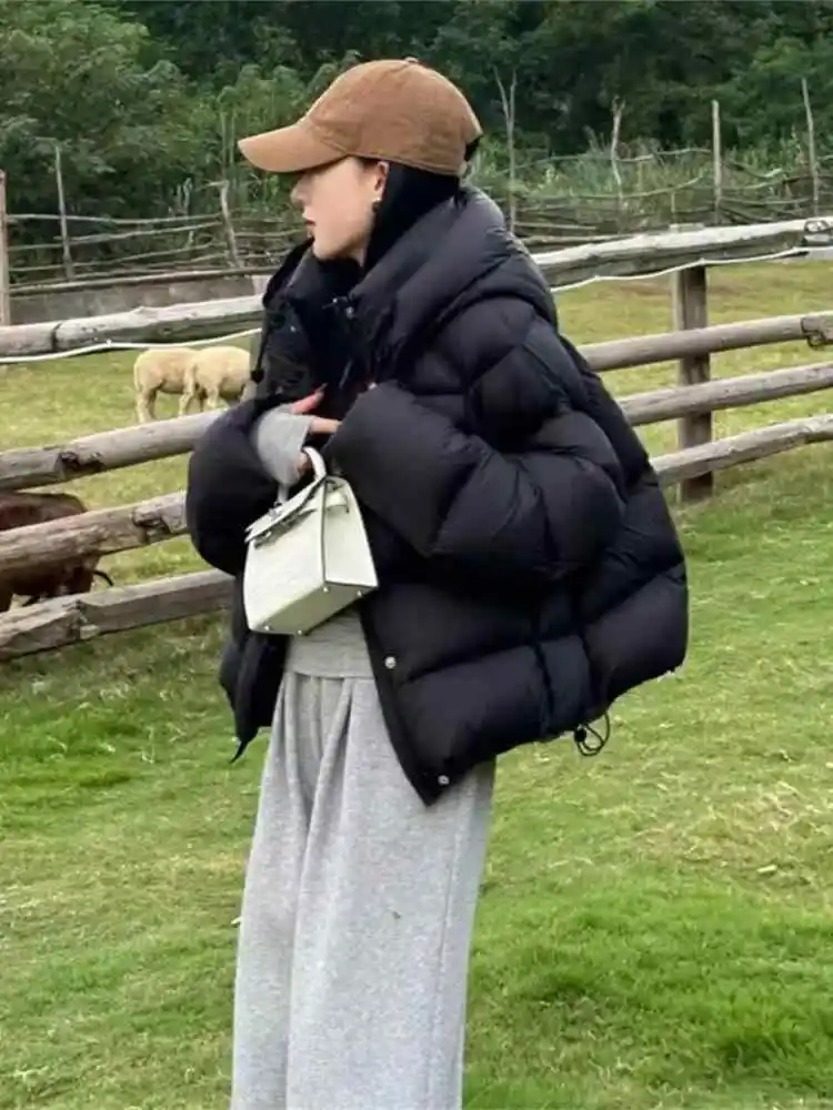 

Winter New Design Short Puffer Jacket Women's Casual Warm Duck down Bread Coat Zipper Closure Hooded Straight Cut Thickened