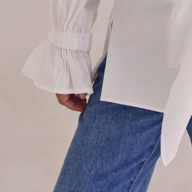 

Designer Women Premium Shirt, Long Sleeve Shirt Button-down Solid/Stripes Elegant Blouse Fall Tops Streetwear