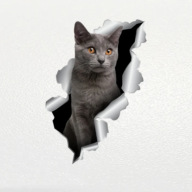 

V1032# Car Sticker British Shorthair Cat Pet Animal Waterproof Vinyl Decal Car Accessories Decor Pegatinas Para Coche