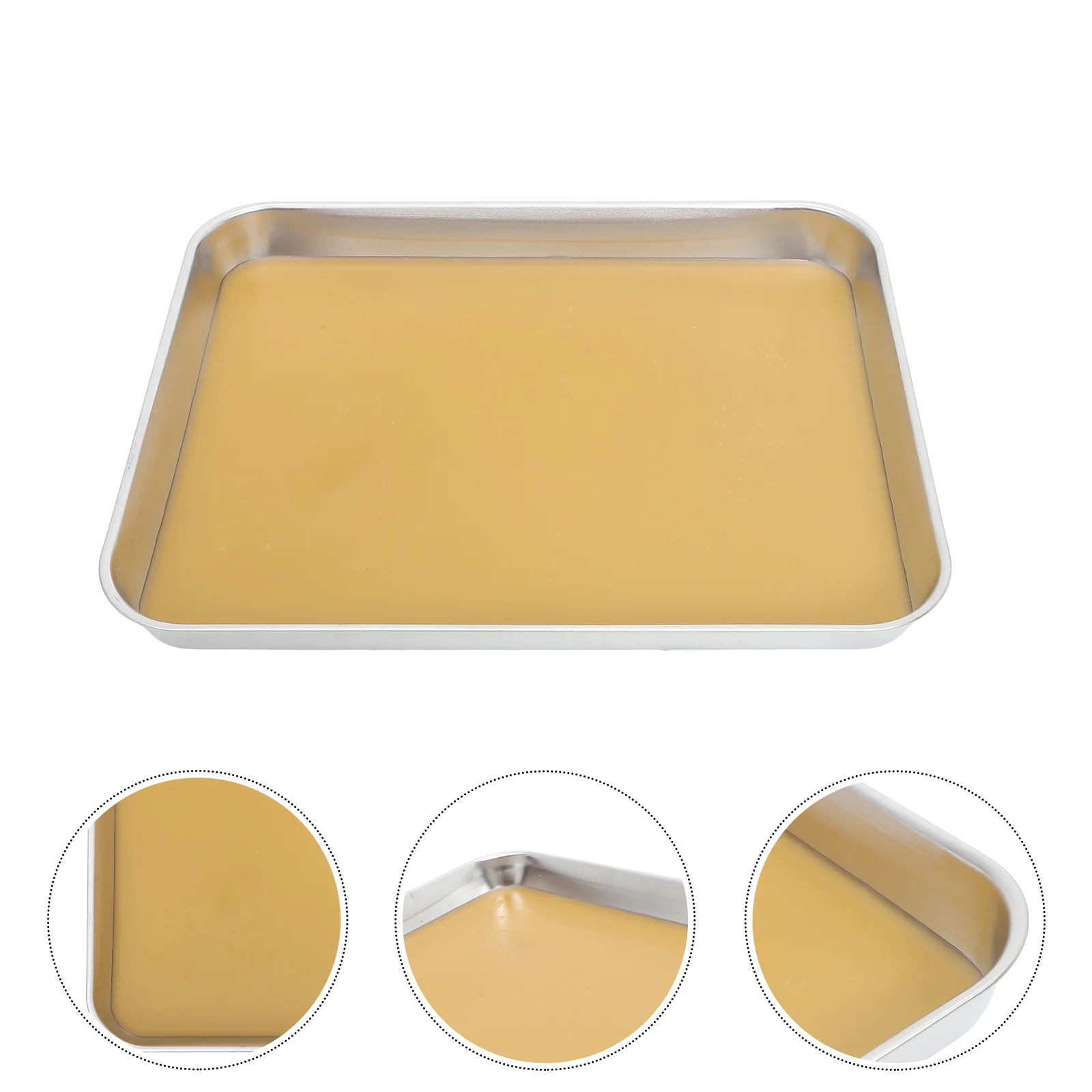 Anatomy Tray Stainless Steel Dissection Wax Holder Storage Dissecting Pan with Lined Trays
