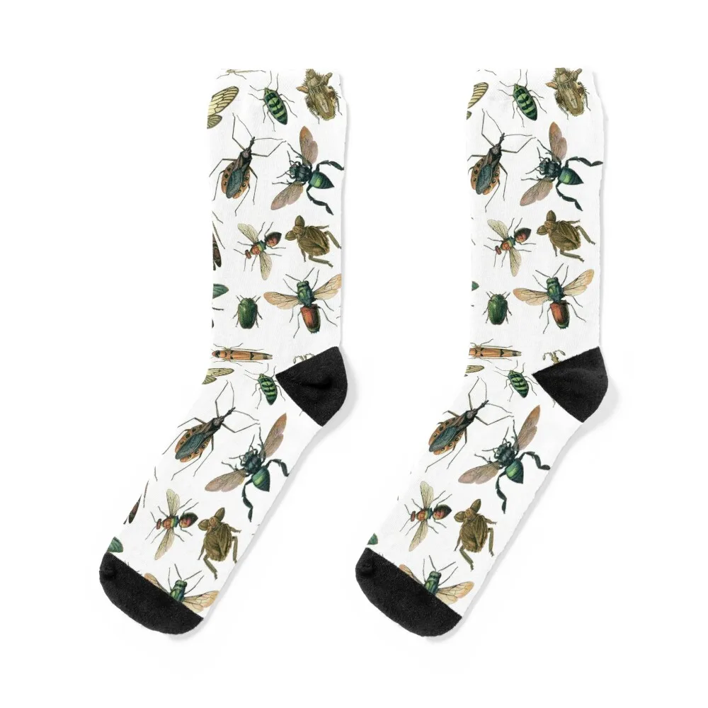 

Insects! Socks shoes tennis Children's Man Socks Women's