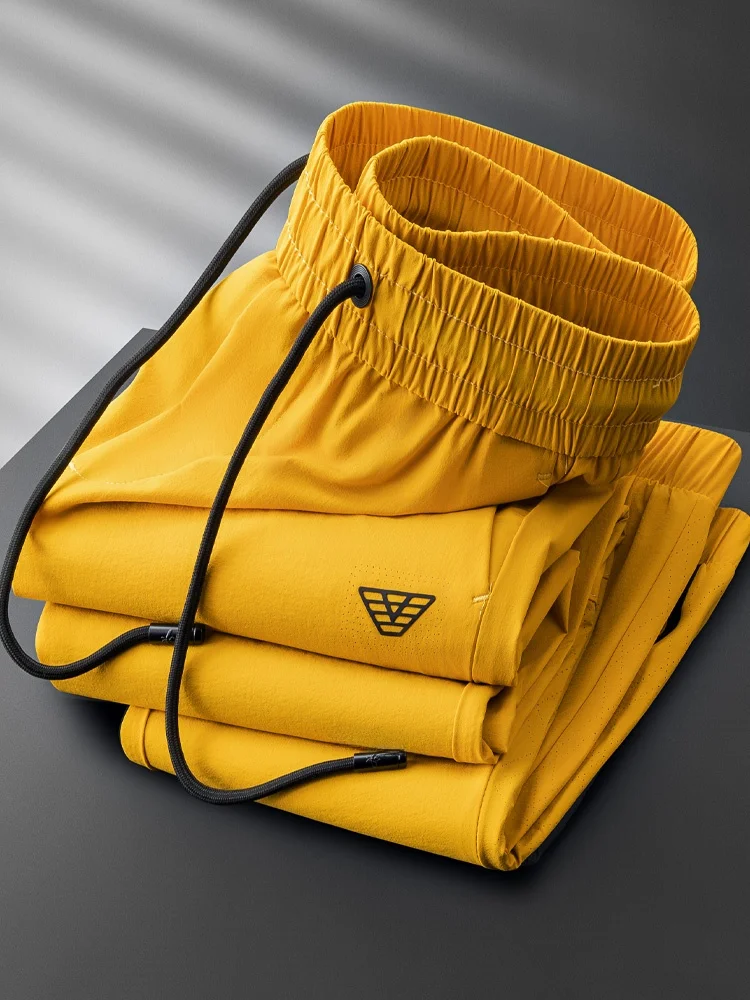 

Мужские спортивные брюки из дышащего ледяного шелка премиум-класса, быстросохнущие, облегающие, с перфорацией, зауженные к низу, тонкие, повседневные...