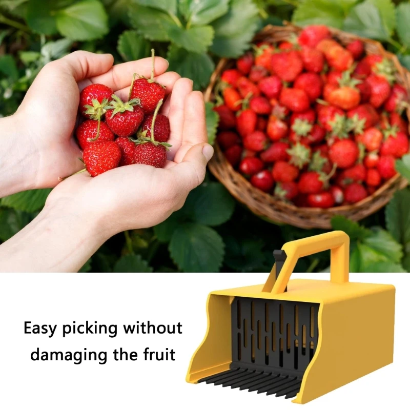 

Berries Pickers Scoops Ergonomic Handle Fruit Foraging Collector Gardening Tool KXRE