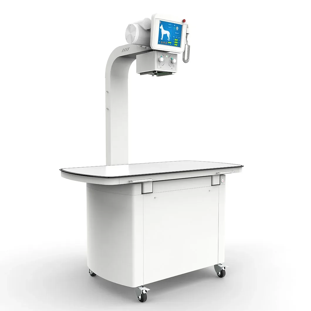 High Quality Multi-languages 32KW Veterinary Dr x-ray digital graphy scanner Machine