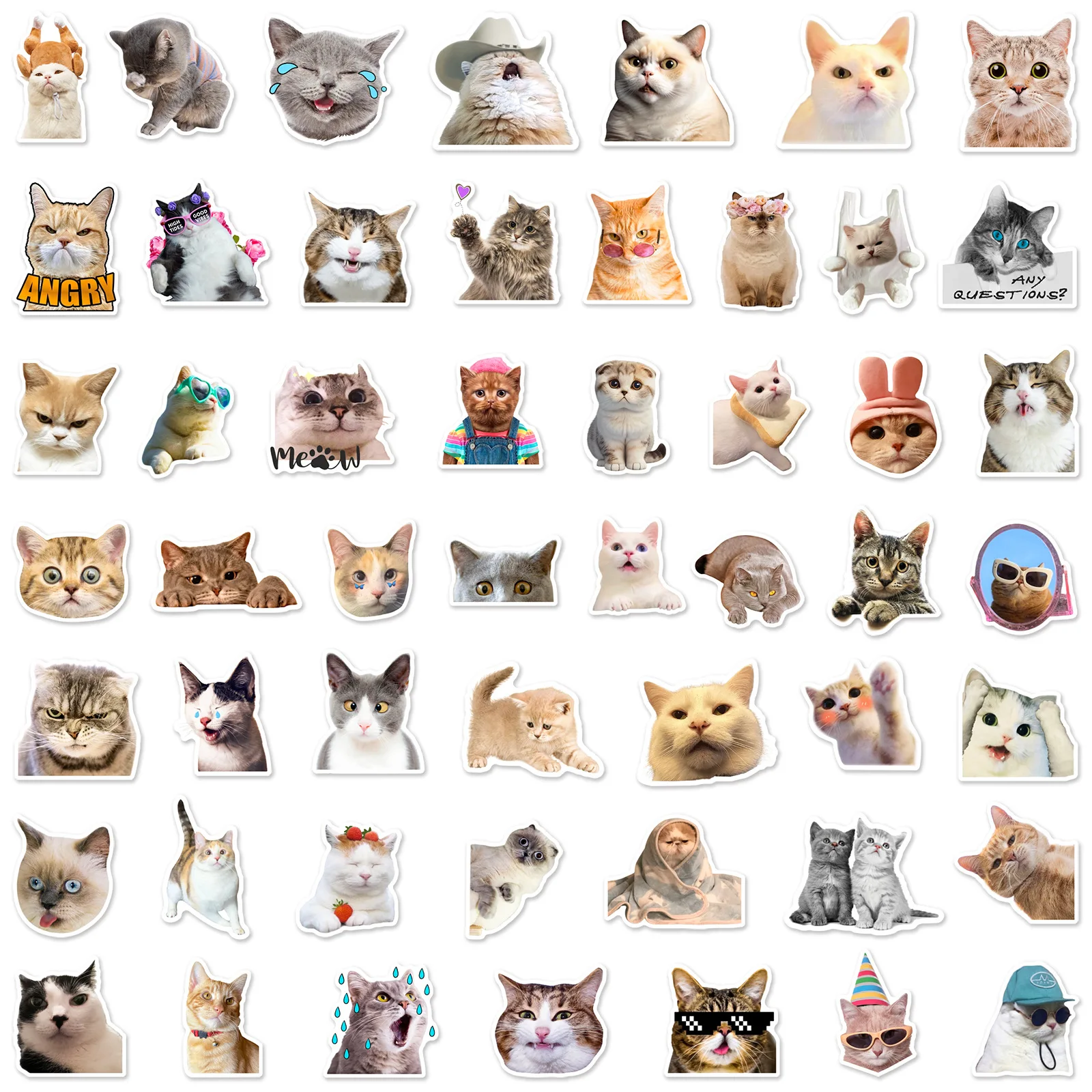 10/25/50pcs Funny Cat Meme Stickers for DIY Decor Stationery Suitcase Water Bottle Phone Laptop Skateboard Scrapbooking