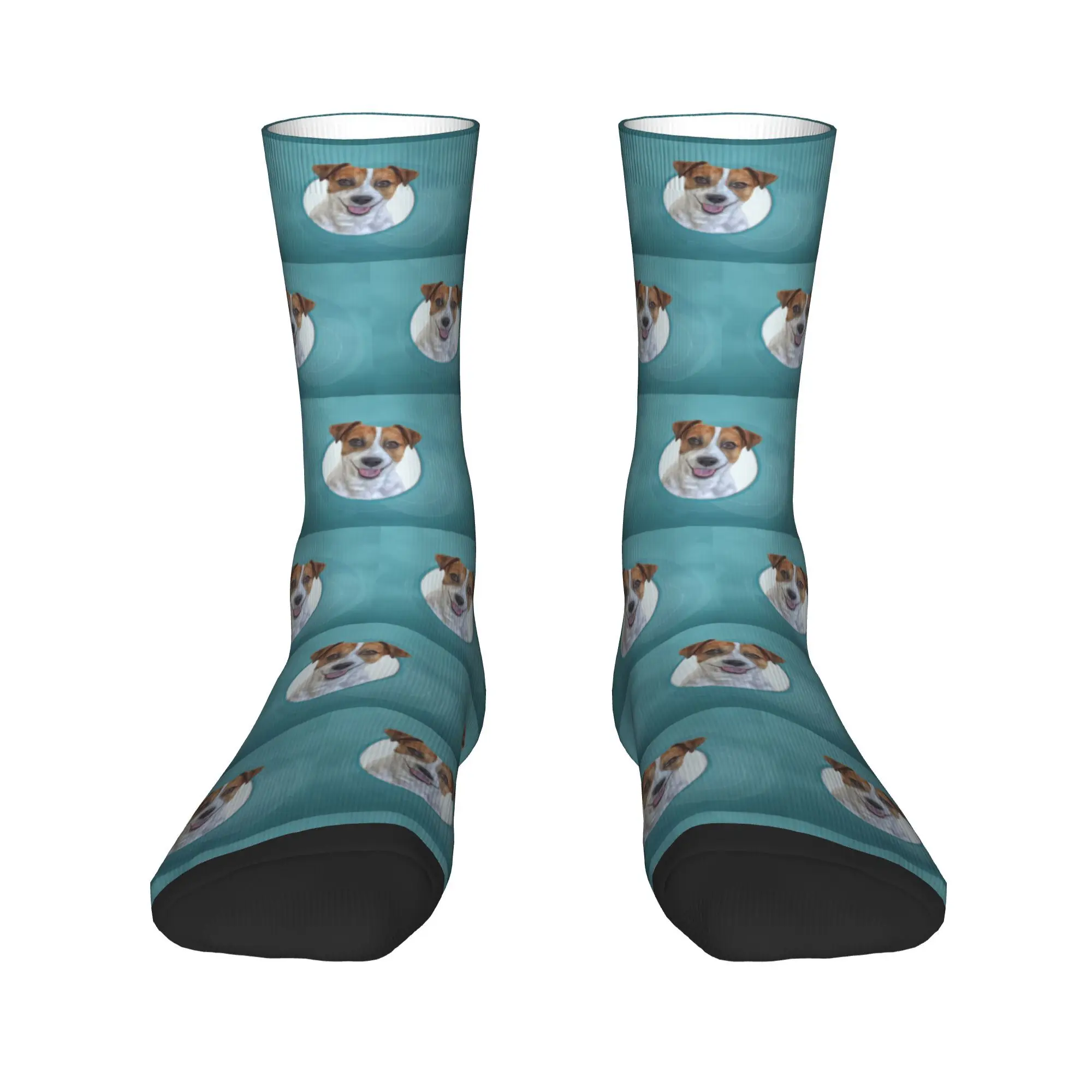 

Dog Jack Russell Terrier Drawing Socks Harajuku Soft Stockings All Season Long Socks Accessories for Man Woman Christmas Gifts