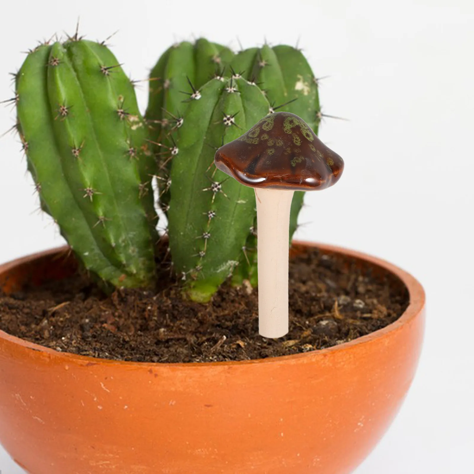 

4Pcs Mushroom Decor Color Glazed Ceramic Fairy Garden Plant Pots Outdoor Lawn Statues Waterproof Garden Decoration for Home