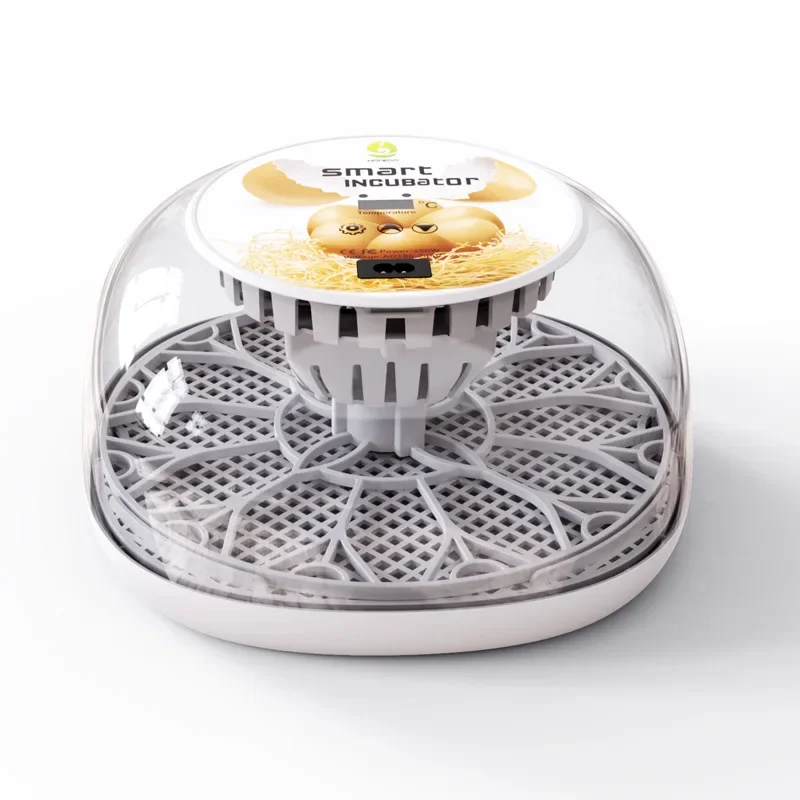 12-Egg Chicken Incubator for Kids Interactive Educational Science Home Hatching Equipment Gift for Learning