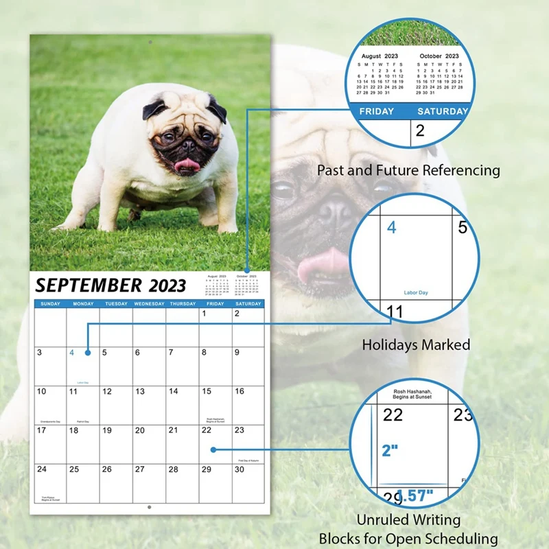 1 PCS 2024 Wall Calendar-2024 Calendar 12 Monthly Pooping Dogs Calendar 2024 Funny Gag Gifts