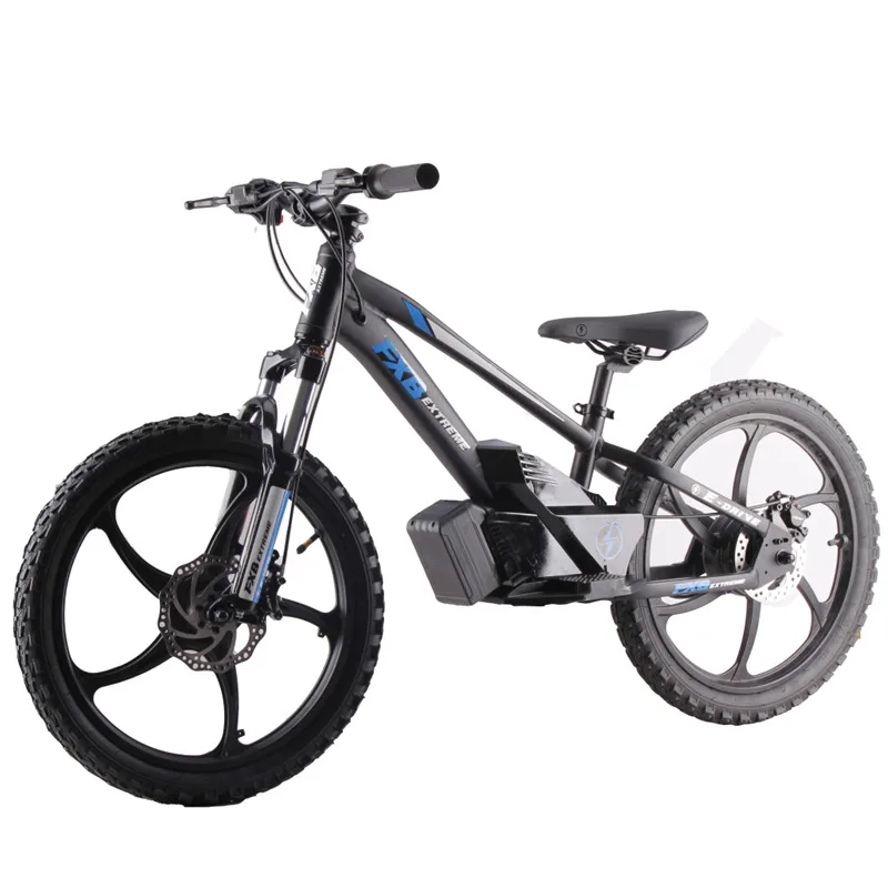 OEM Popular  20inch Kids Ebike, Kids Electric Balance Bike For Child, Electric Bicycle For Kidscustom