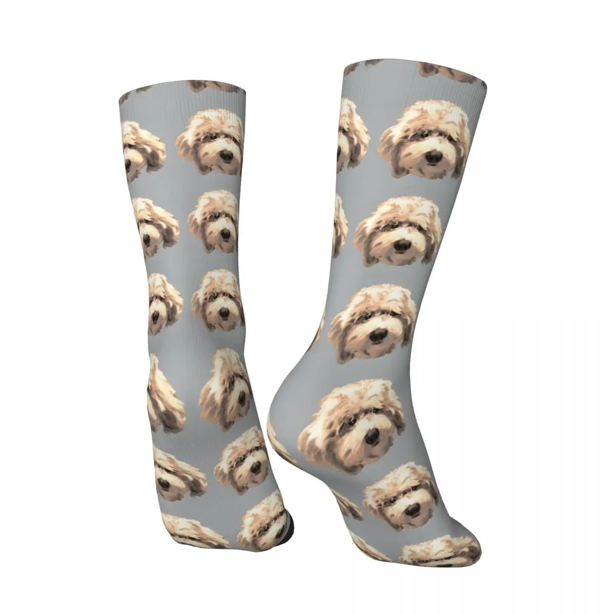 Crazy compression Lucky Labradoodle Face ~ Golden Sock for Men Harajuku Quality Pattern Crew Sock Casual