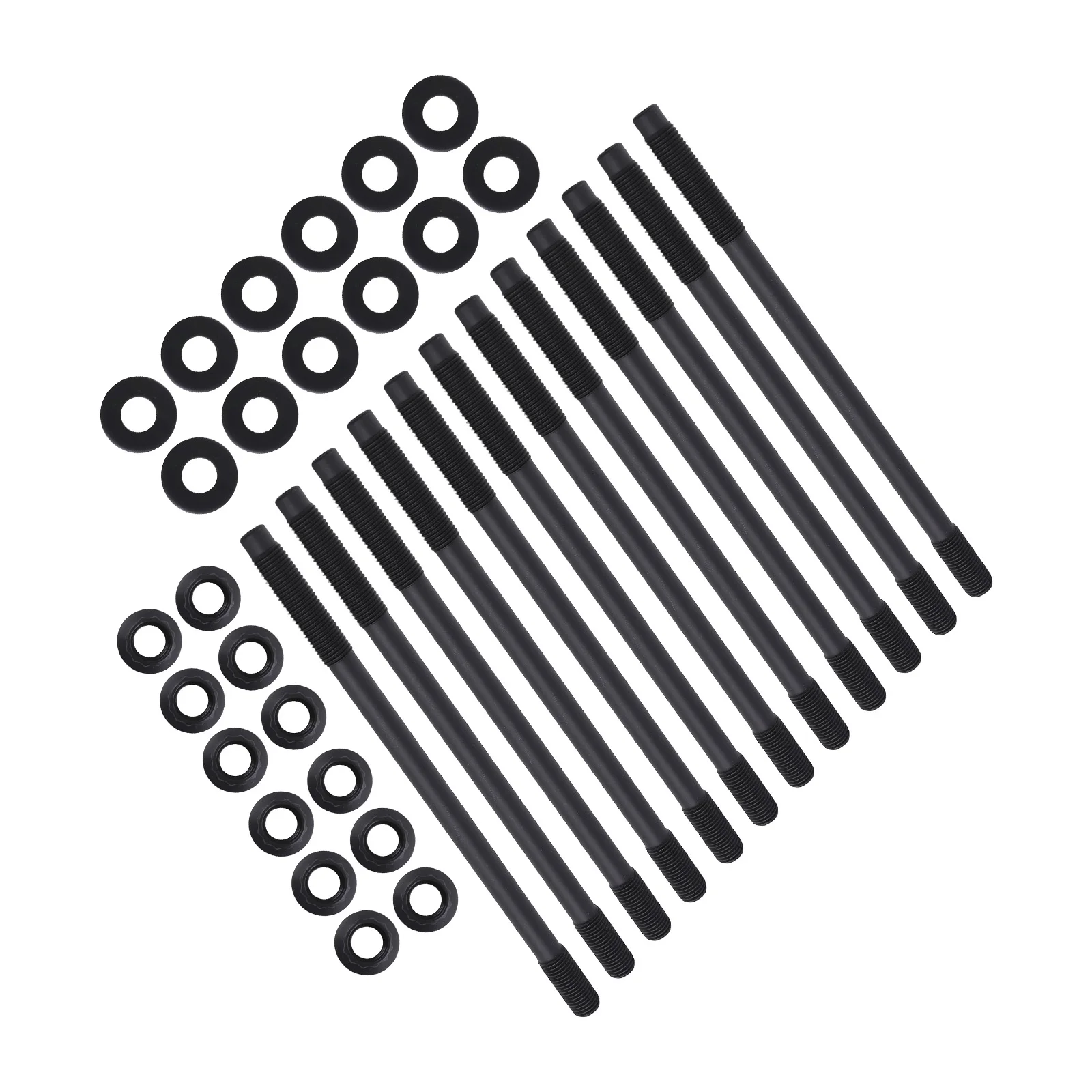 Premium Head Stud K…