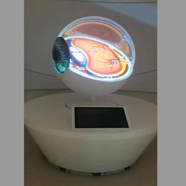 مضيئة مقلة العين هيكل مقلة العين عرض الأعضاء البشرية العرض العلوم ألعاب العلوم الألعاب التفاعلية #4