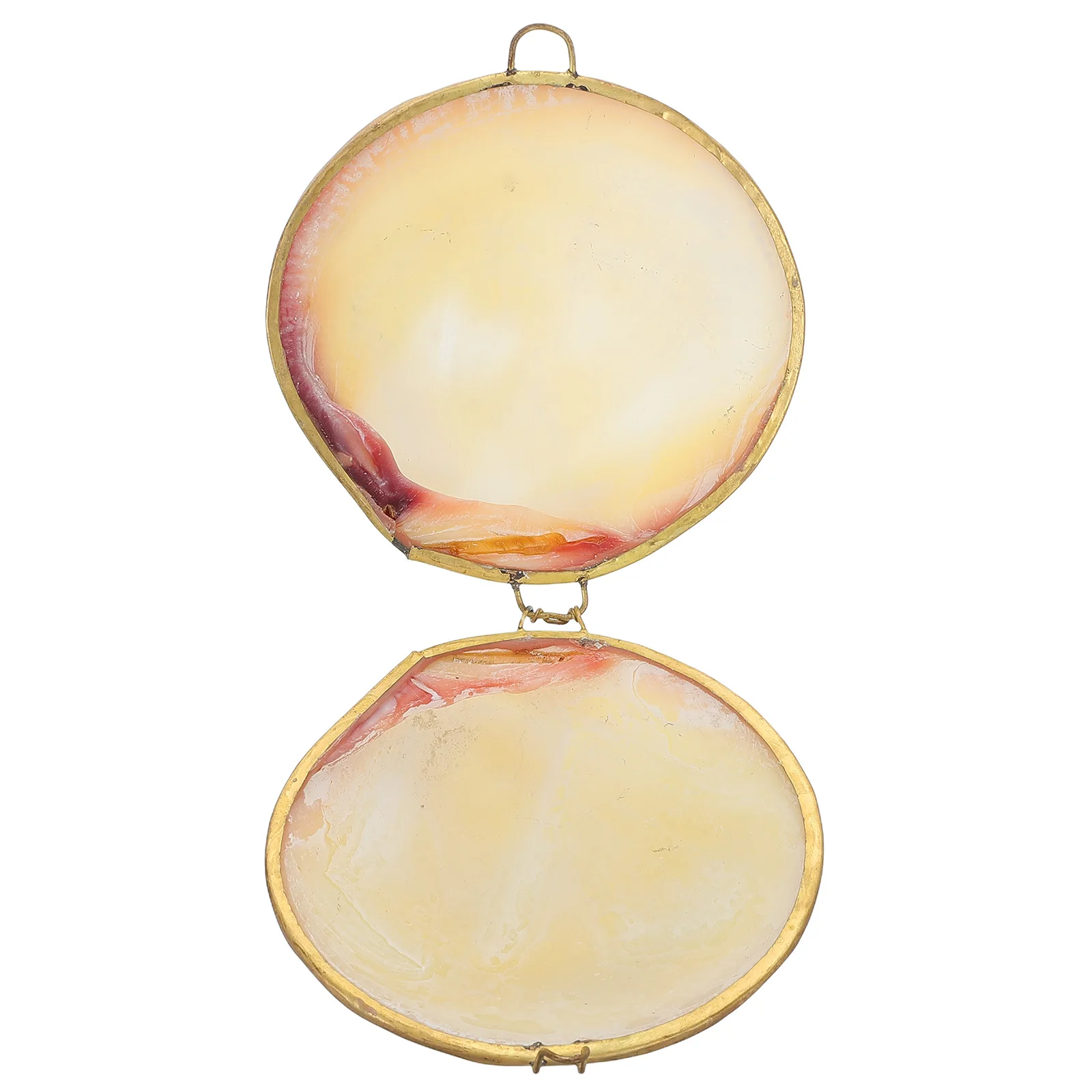 

Natural Seashell Box Portable Ring Earring Trinket Box For Rings Necklace Storage Decorative Keepsake Container Organizer