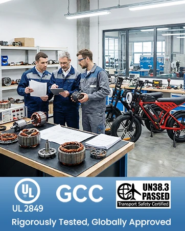 Bike Electric Bike Adults