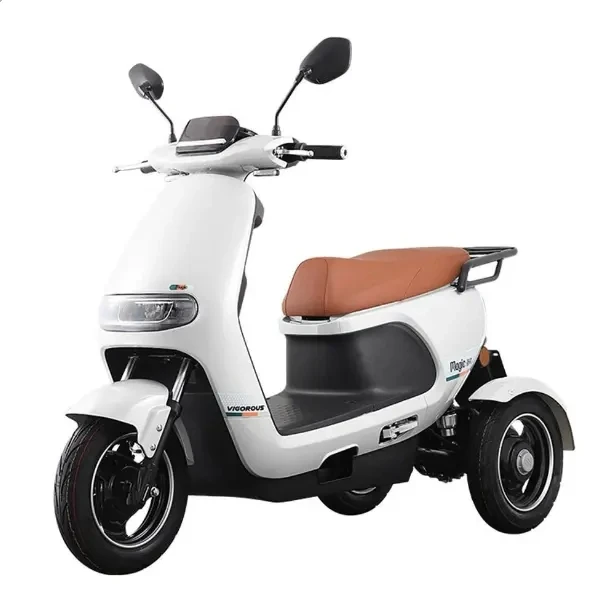 500W 1000W 48V 60V 10 Inch Handicapped Reverse Gear Three Speed Rear Drive ABS Plastic Electric Tricycle Vehicle