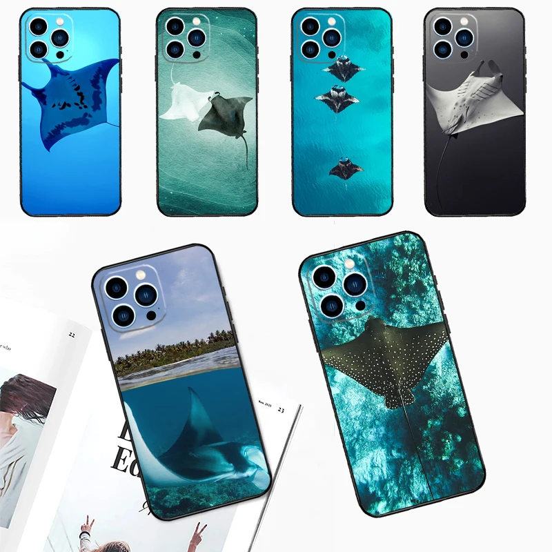 Animal Manta Ray Ca…