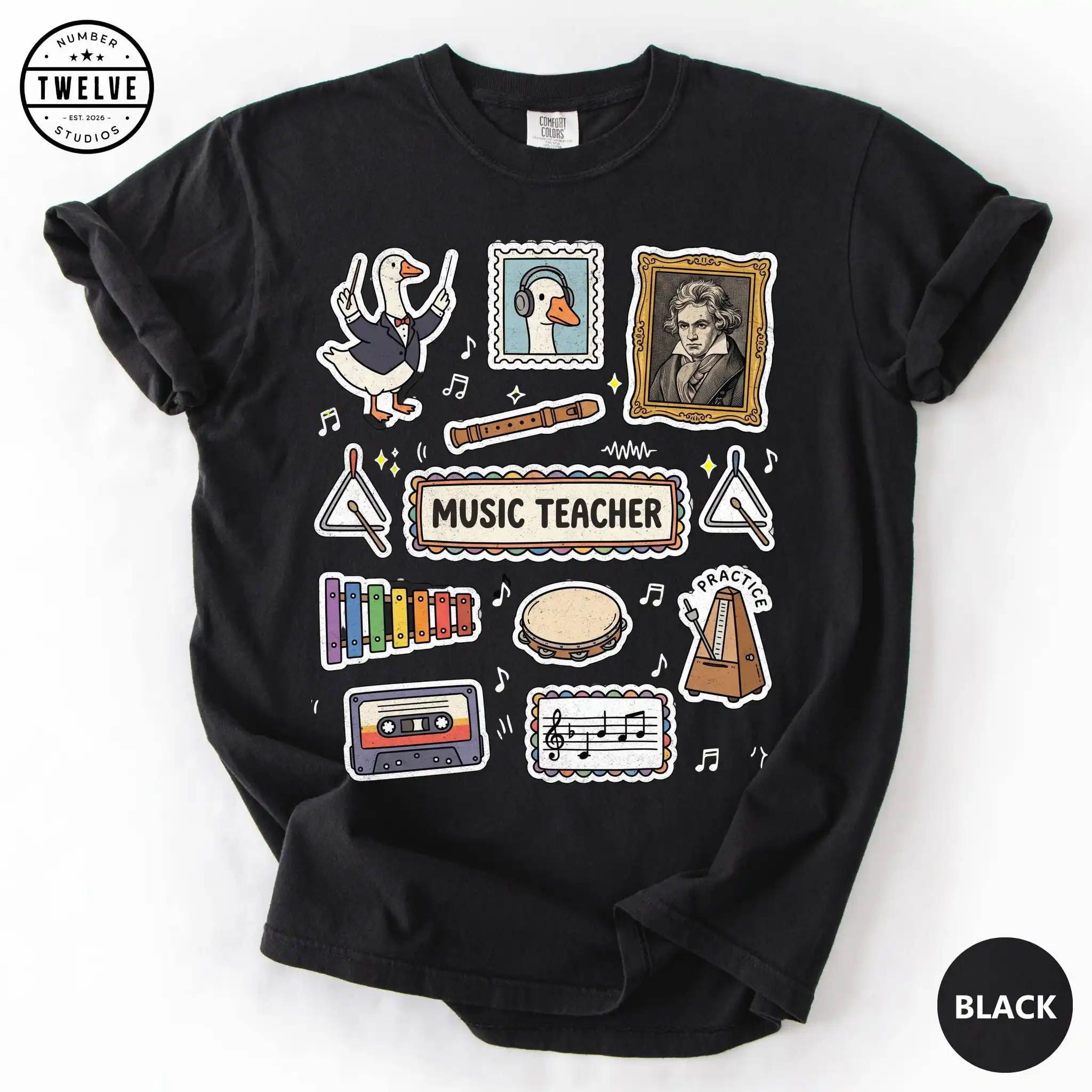 Music Teacher Shirt, Band Director  Choir Teacher Tee, Back To School Elementary Music Teacher Appreciation Gift T-shirt