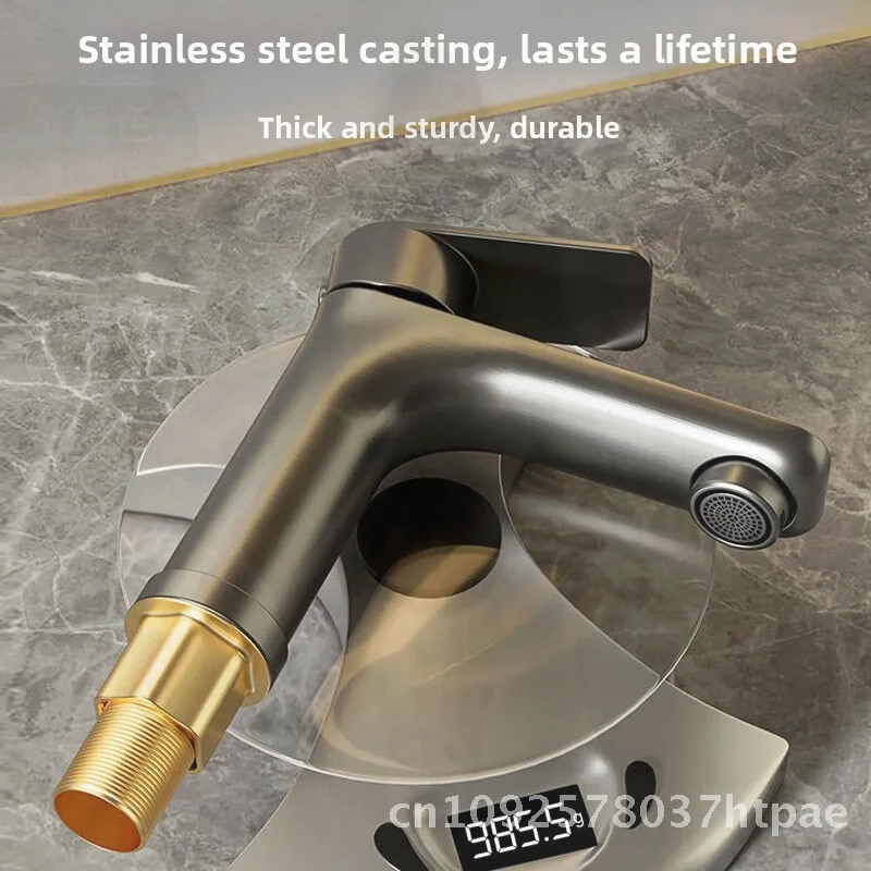 

Stainless Steel Single Hole Bathroom Faucet Gray Modern Minimalist Washbasin Mixer with Hot And Cold Water Inlet Pipe 60CM