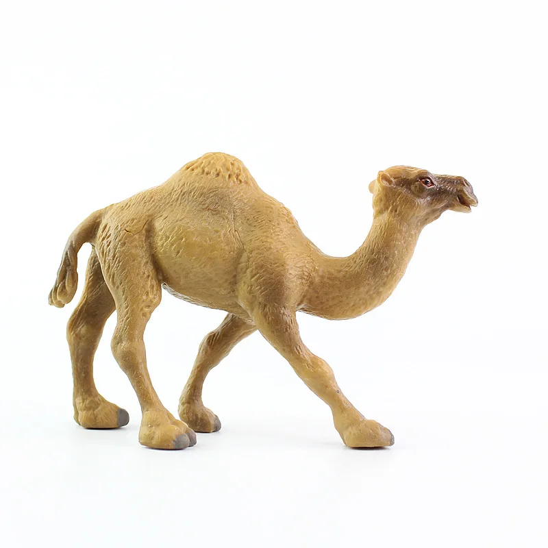 Realistic Wild Animal Dromedary Camel Toy Figurine Solid Plastic Toy Sculpture Educational Model Creative Wildlife Play Toys