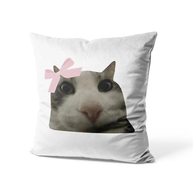 Aertemisi 18'' x 18'' Coquette Cat Meme Square Throw Pillow Cushion Covers Cases Pillowcases for Sofa 45cm x 45cm