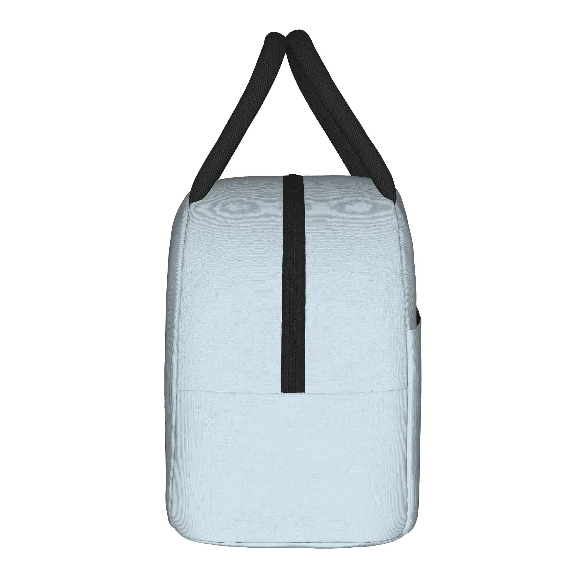 Cute P-Pudgy Penguin Insulated Lunch Bags Leakproof  Reusable Cooler Bag Tote Lunch Box Work  Picnic Men Women