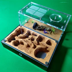 Concrete Ant Farm House Super Large Yellow Mud Ant Nest Gypsum Pet Anthill Insect Castle M Workshop Ant House with Hunting Area